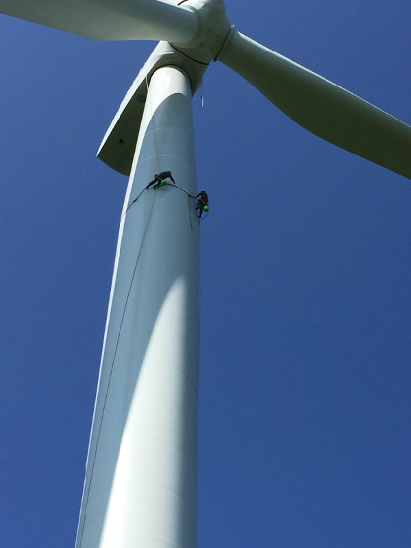 煙囪美化公司如何提升居家氛圍？